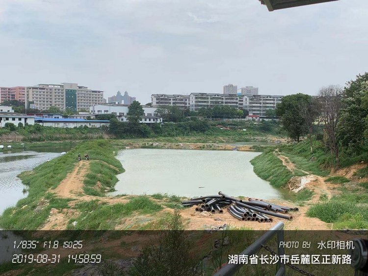 鴻鵠林市政